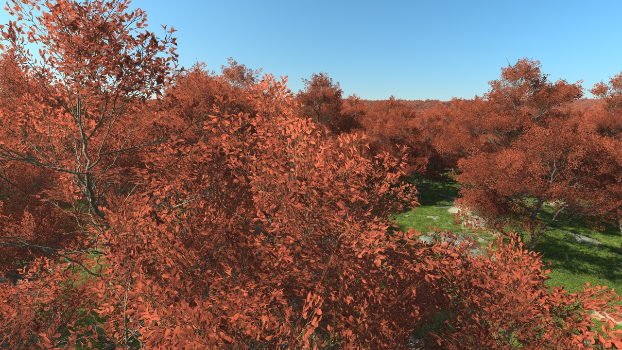 Summertime prunus trees_0