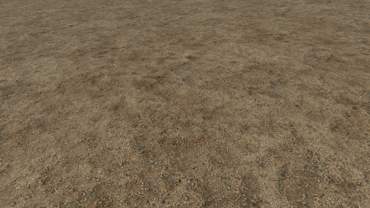 Arid forest grounds_0