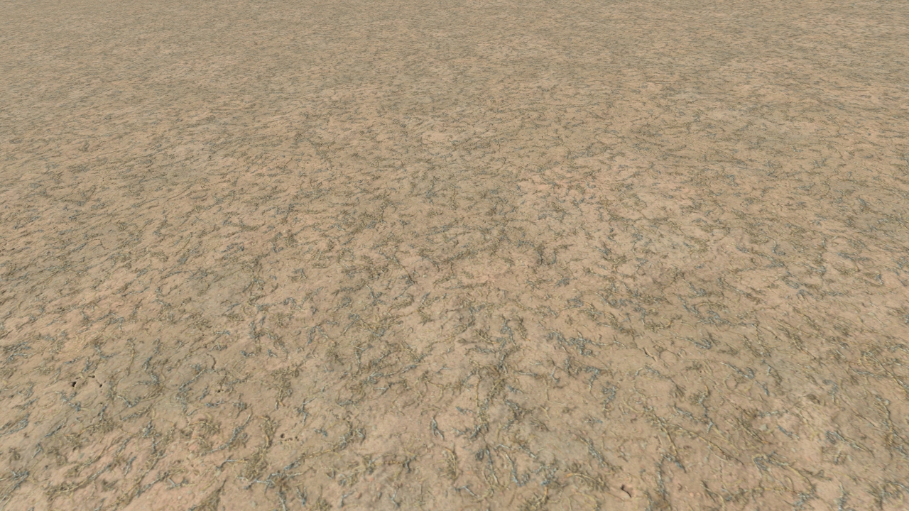Arid forest grounds_2