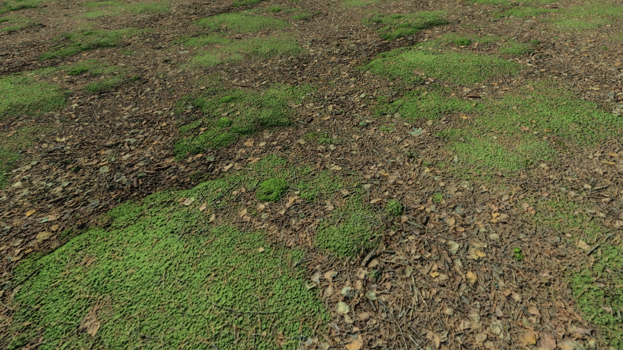 Mossy forest grounds_0