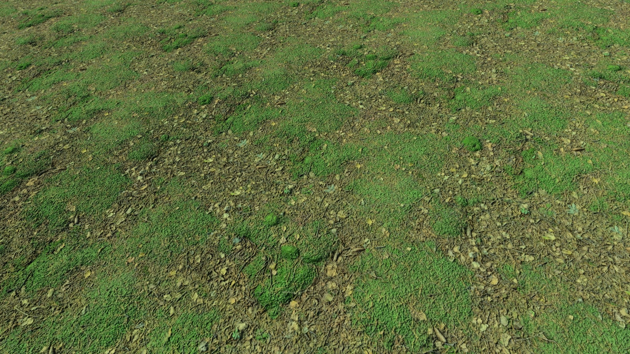 Mossy forest grounds_2