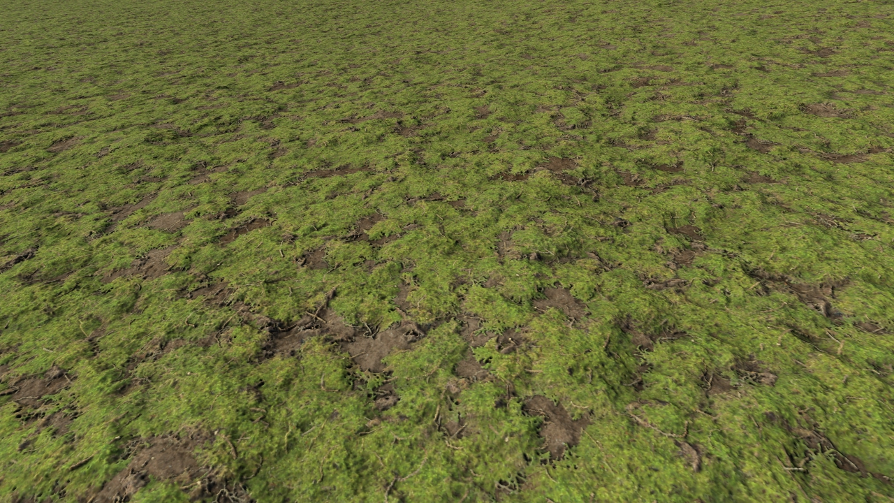 Mossy forest grounds_4
