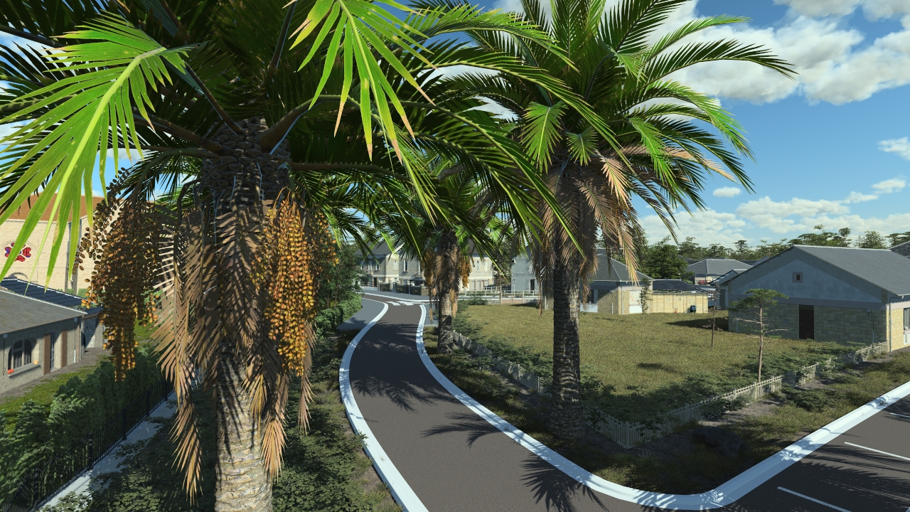 Canary palm trees_2
