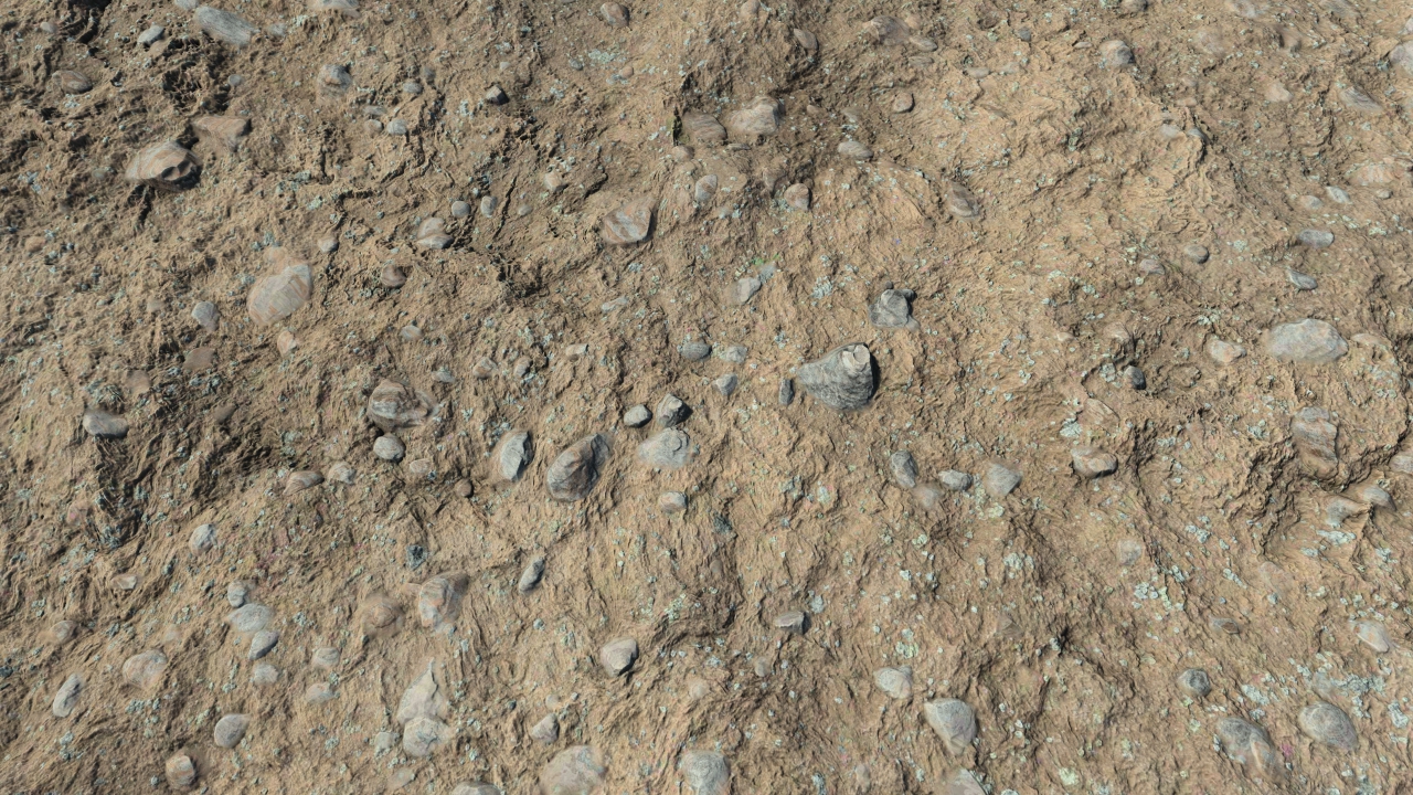 Dirt and rocks_3