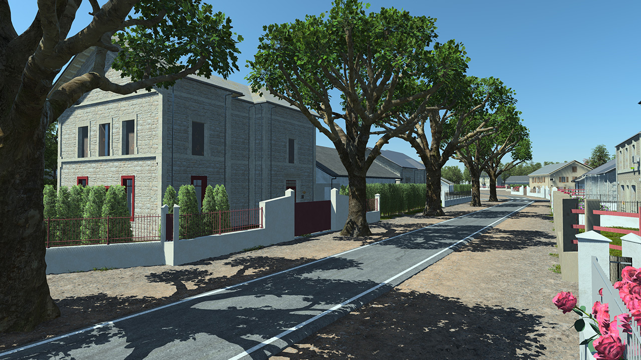 Platanus Pruned Trees_8
