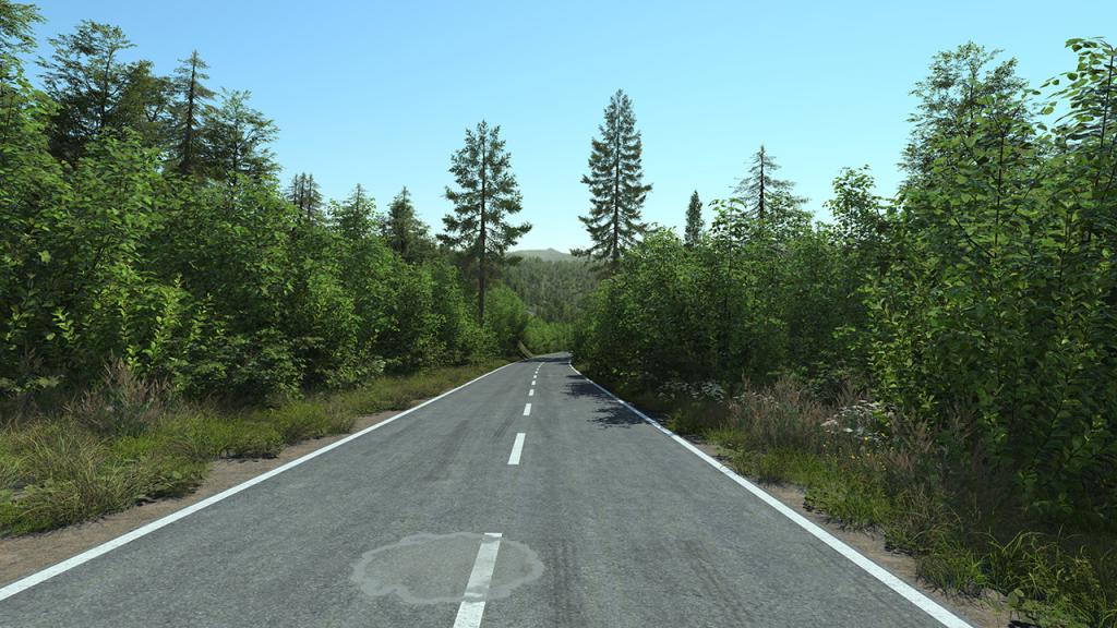 Roadside Bushes