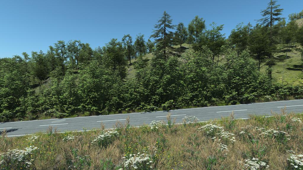 Rural Roadside Biome