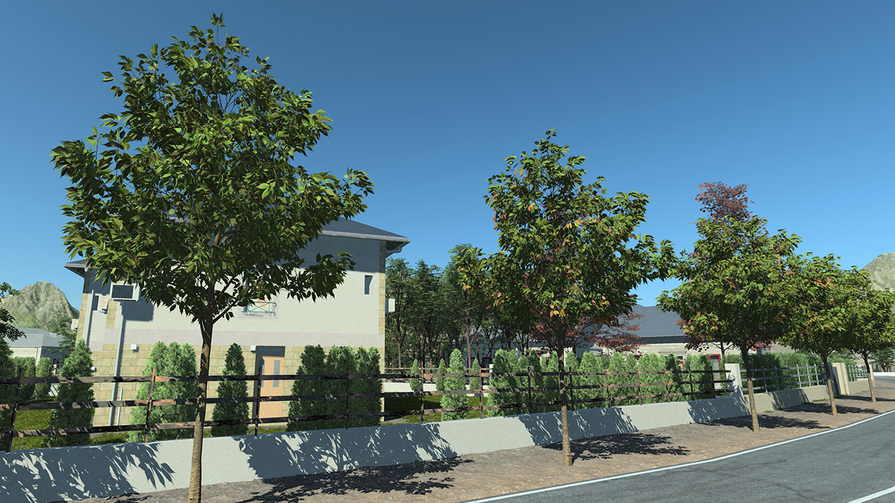 Small Cherry Trees_1