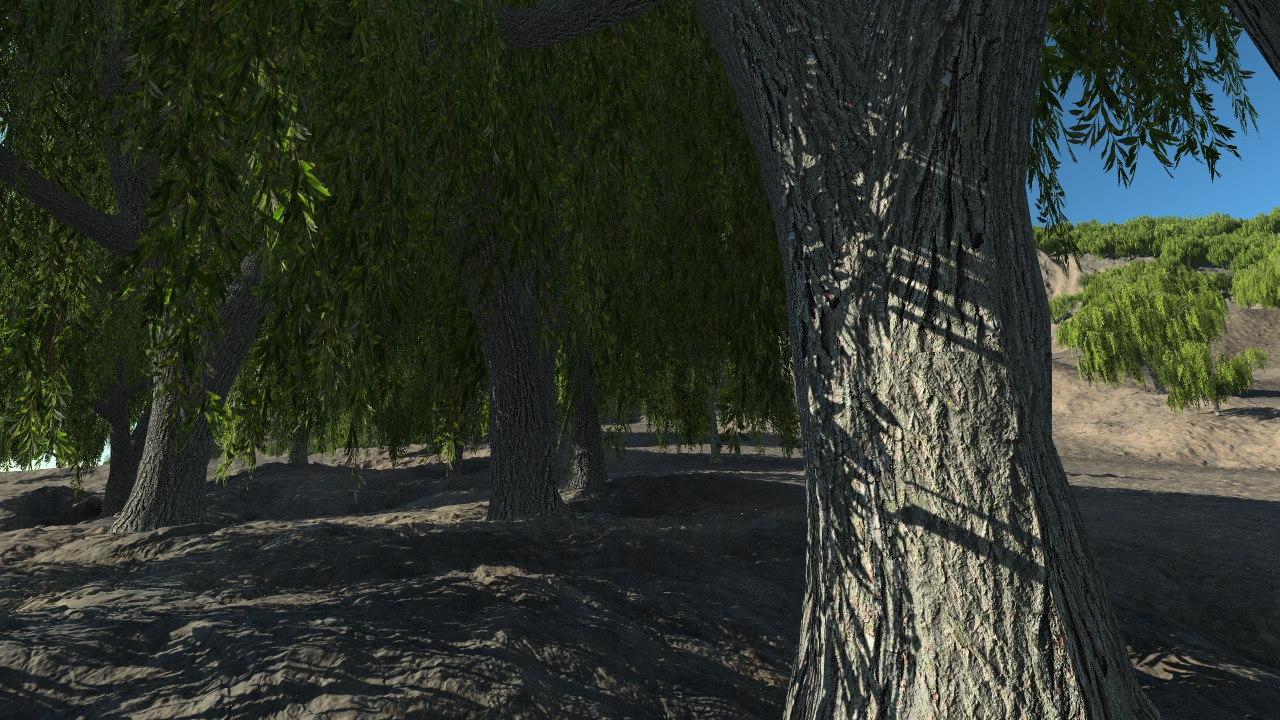 Summer weeping willows_1