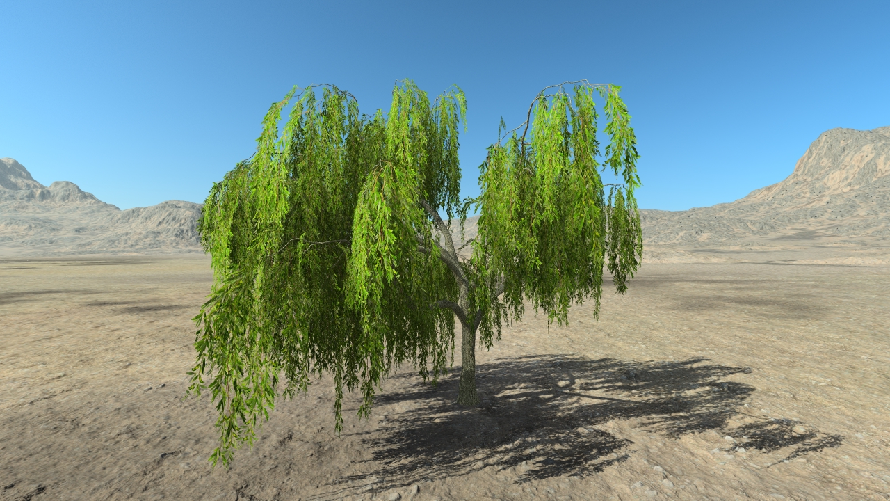 Summer weeping willows_7
